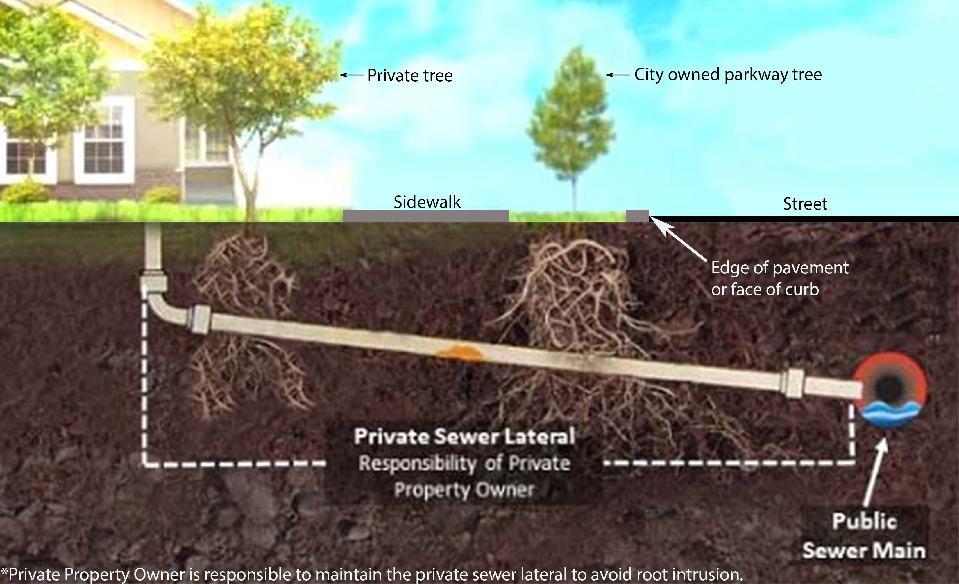 Diagram showing a sewer lateral connecting a private property to the city sewer main in the street, indicating that the property owner is responsible for maintenance of the entire lateral including the connection point.